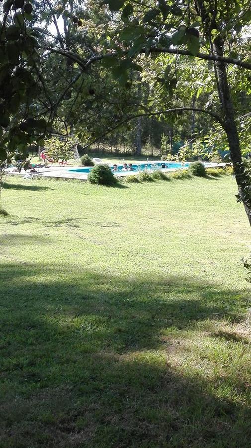 Hosteria Y Camping Del Bosque Пукон Екстер'єр фото
