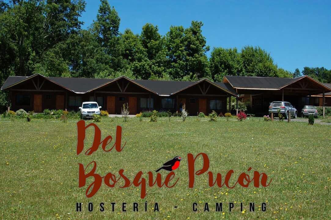 Hosteria Y Camping Del Bosque Пукон Екстер'єр фото