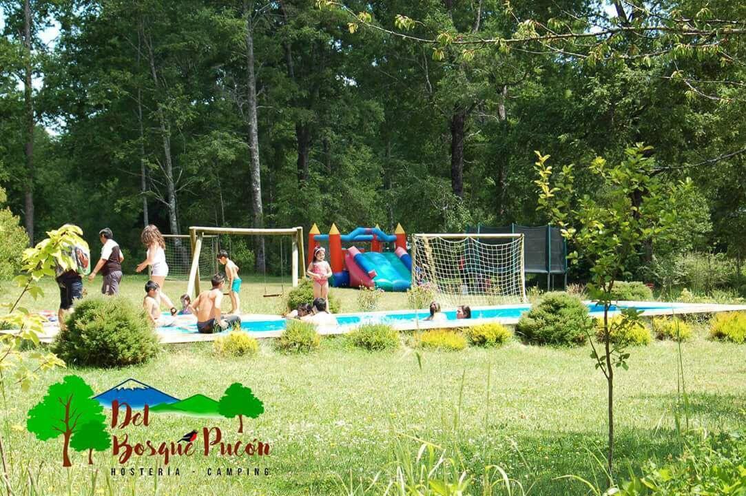 Hosteria Y Camping Del Bosque Пукон Екстер'єр фото